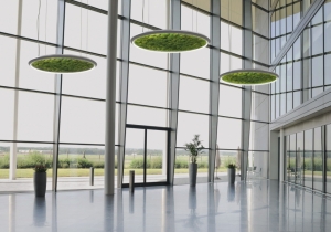 lighting: \"LUCE VERDE\" BY SATTLER | ARCHONTIKIS-SATTLER