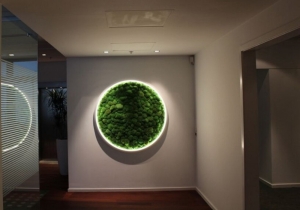 lighting: \"LUCE VERDE\" BY SATTLER | ARCHONTIKIS-SATTLER